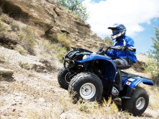 Yamaha Grizzly Repair Manual