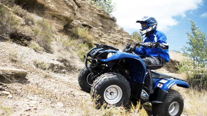 Yamaha Grizzly Repair Manual