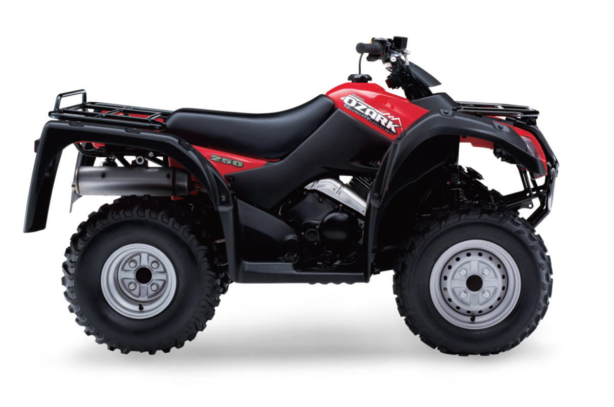 Suzuki ozark 250