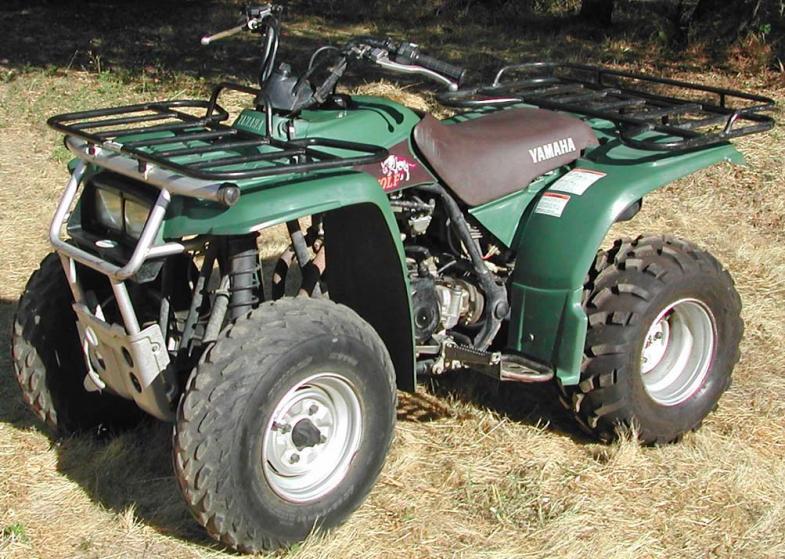 1996 Timberwolf 250 4X4