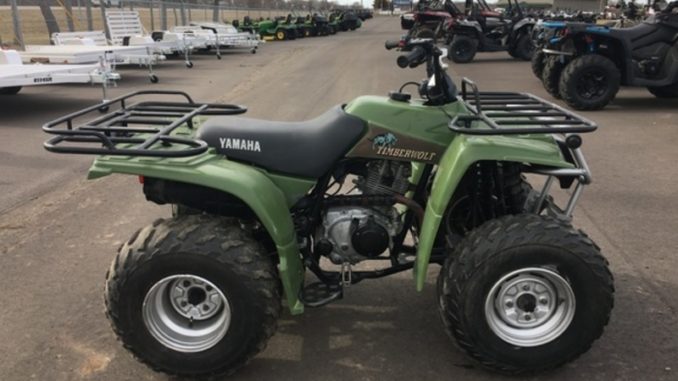 Yamaha Timberwolf 250 1992 1993 1994 1995 1996 1997 1998 1999 2000